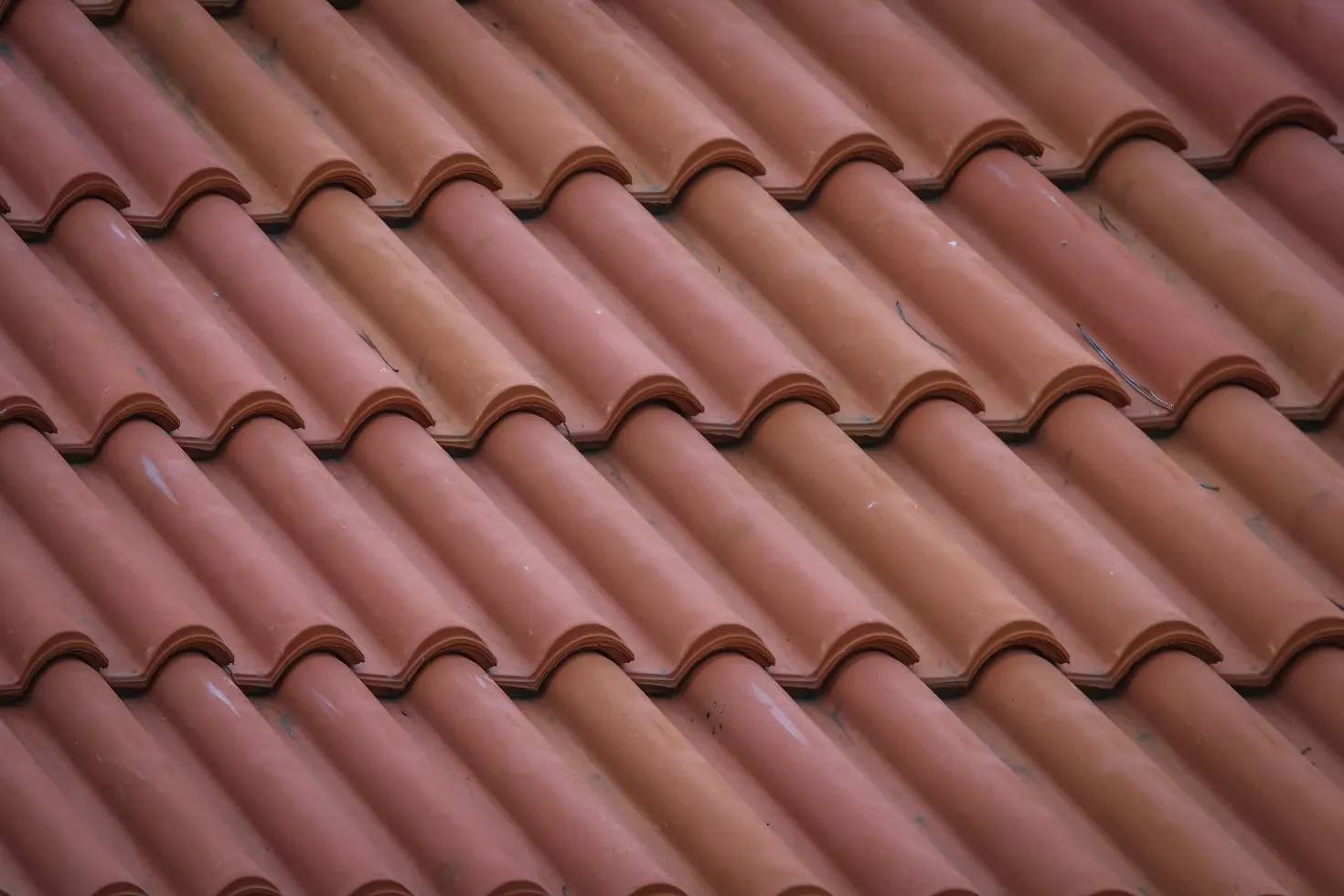 Chuy's Roofing photo 14