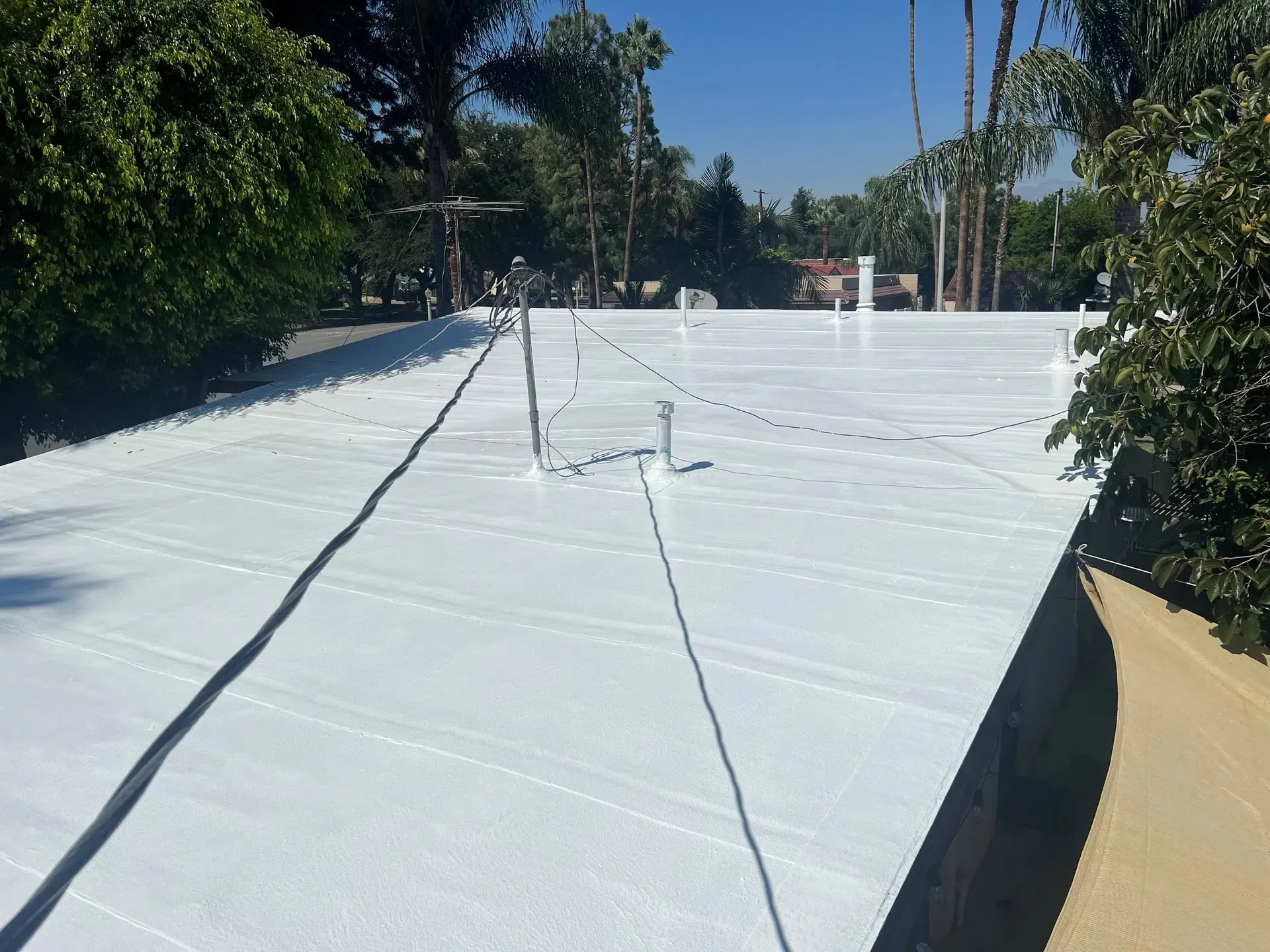 Double Eagle Roofing & Waterproofing photo 2