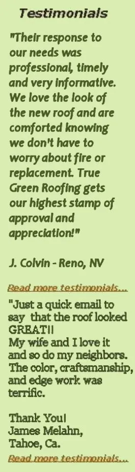 True Green Roofing Solutions photo 3