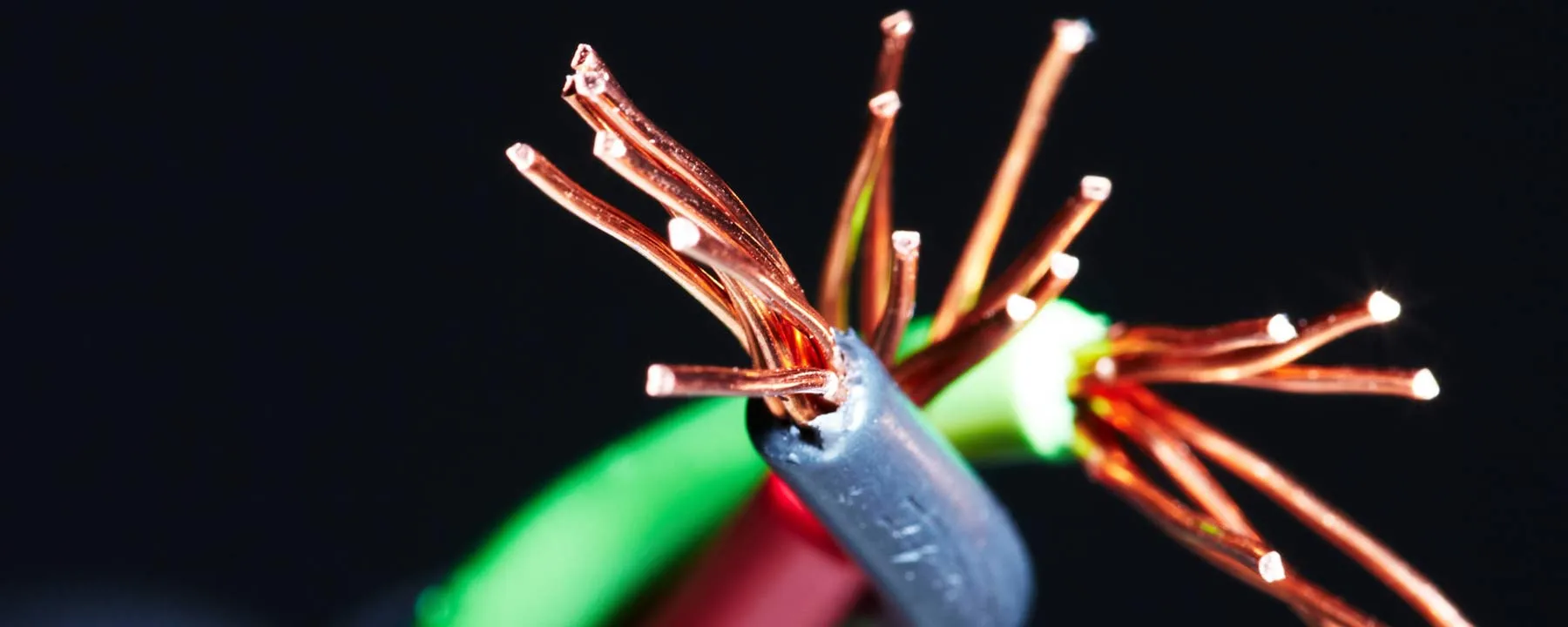 Select Electric photo 2