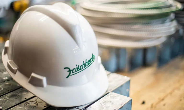 Frischhertz Electric photo 2