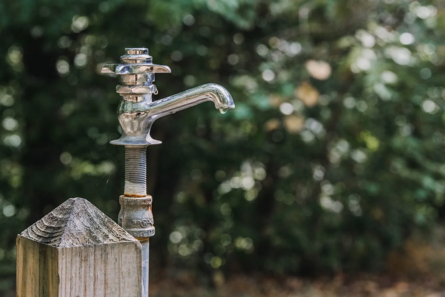 Elite Orange Emergency Plumbers photo 3