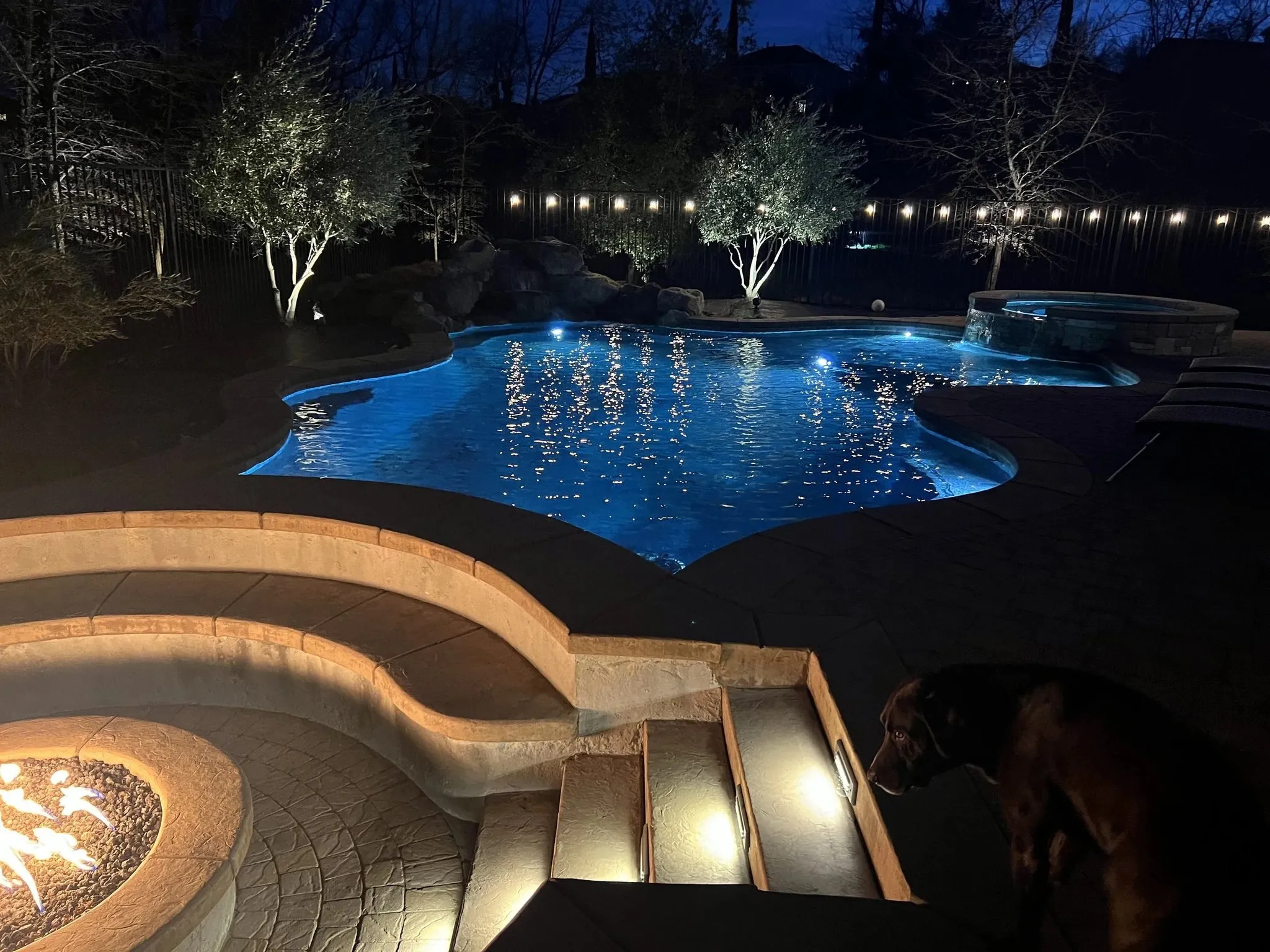 Progressive Pools photo 14