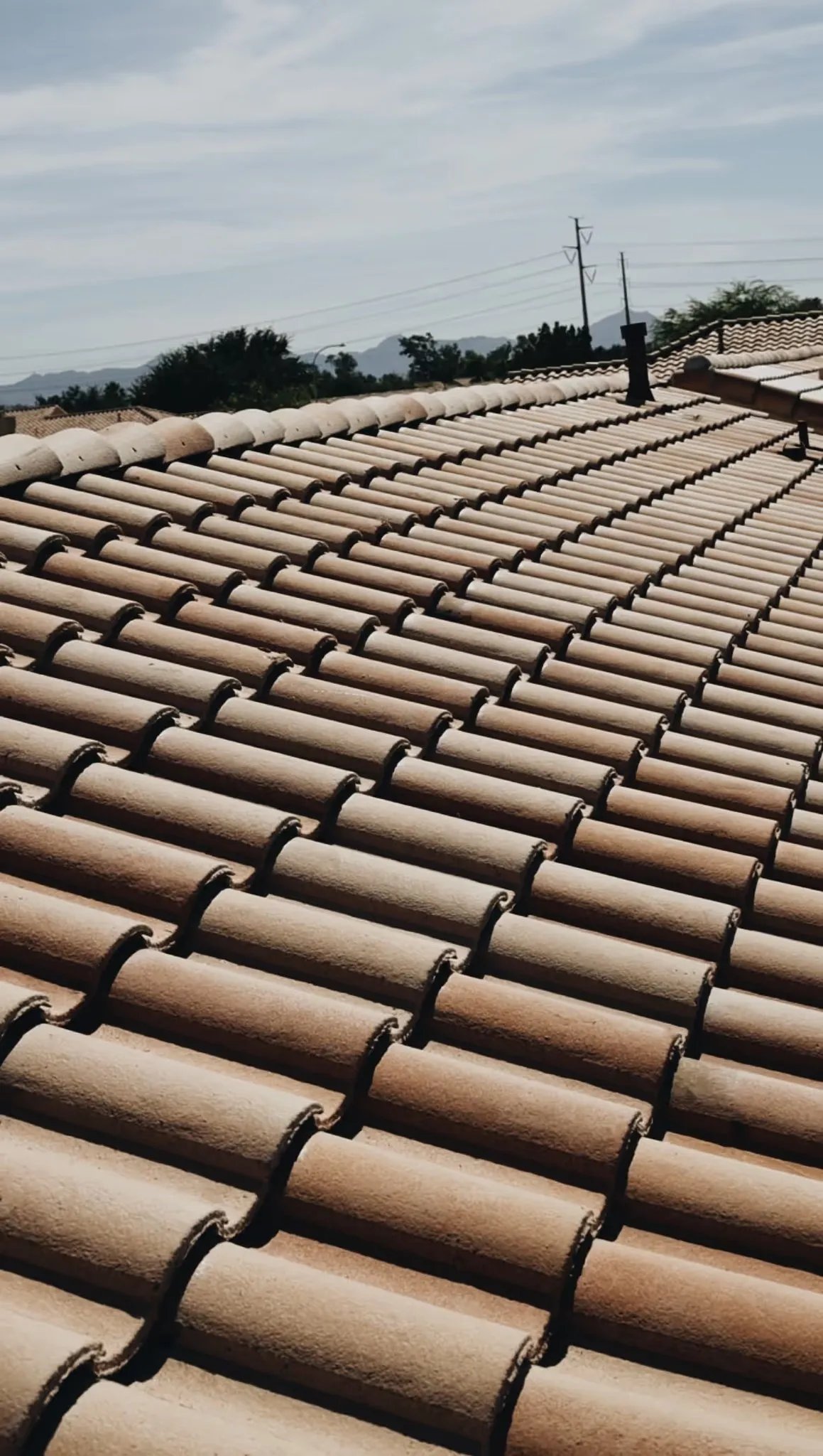 Real Roofing photo 6