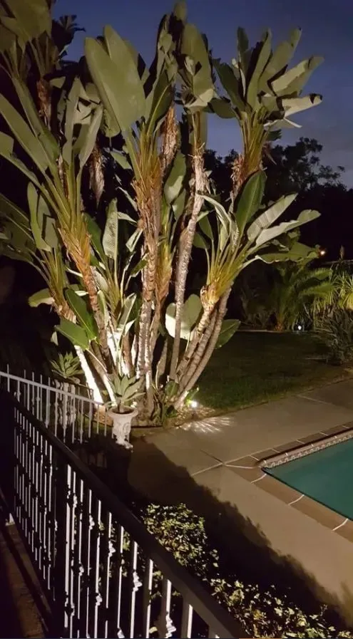 Expressway Electric photo 11