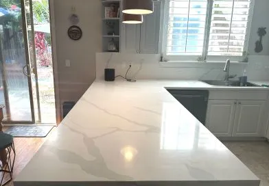 Optimus Handyman photo 6