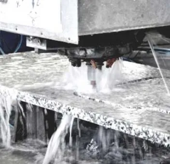 Optimus Handyman photo 10