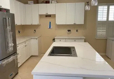 Optimus Handyman photo 5