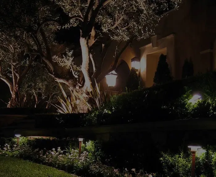 Main Stream Electric photo 2