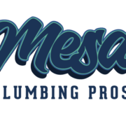 Mesa Plumbing Pros logo