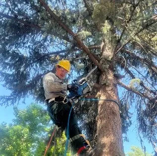 Forever Young Handyman Services photo 9