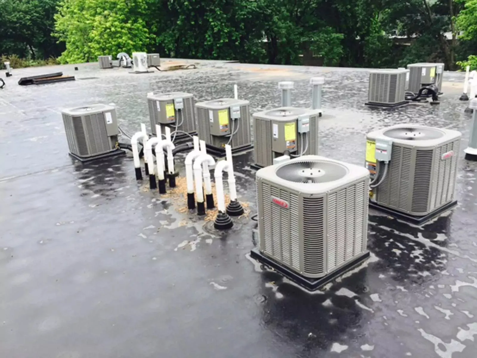 R.J. Nelson Co photo 10