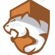 A.W. Puma Home Services logo