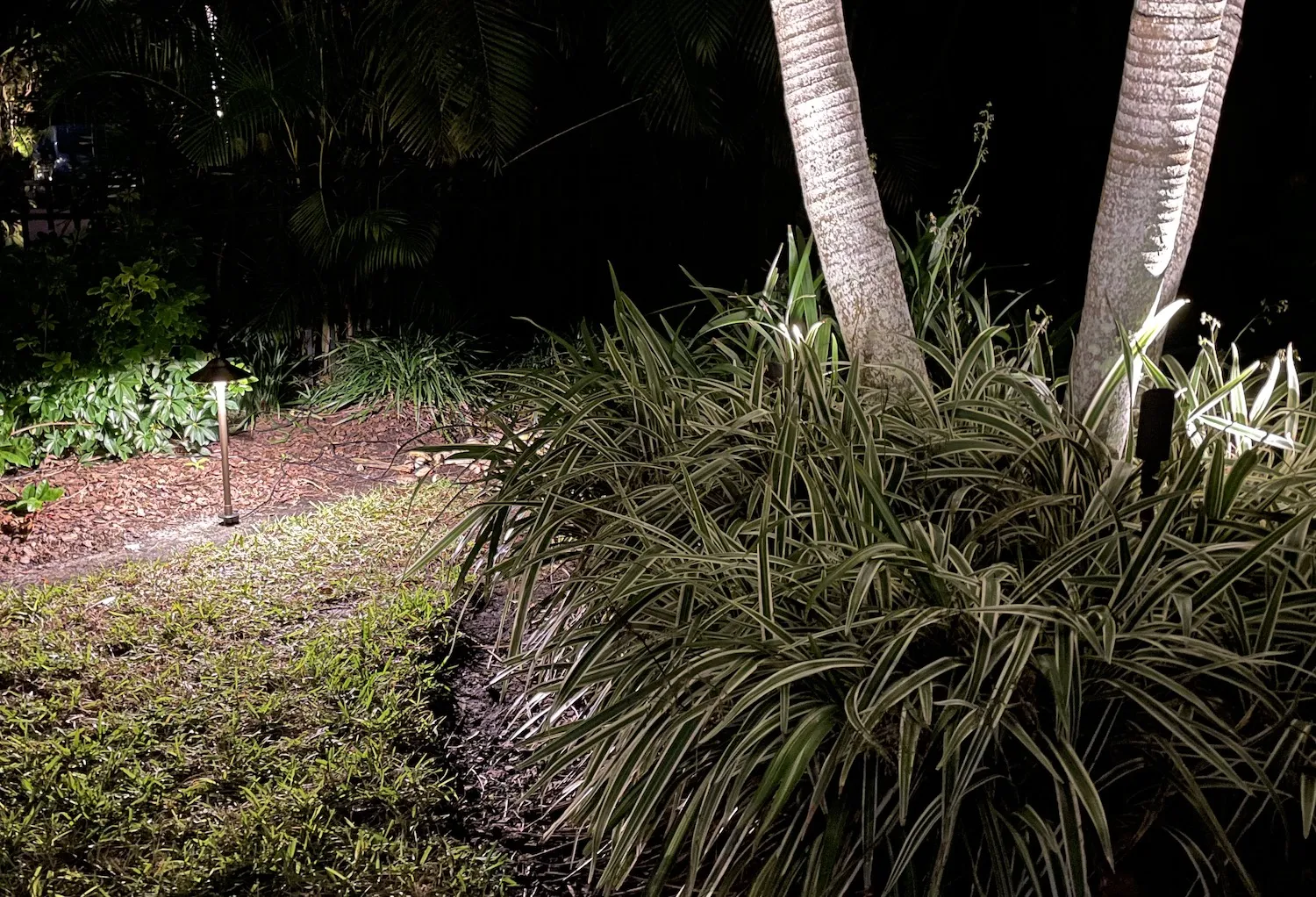 Pinch A Penny Pool Patio Spa photo 8