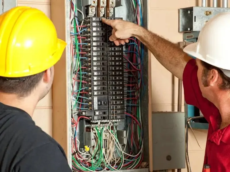 Blue Tiger Electric photo 4