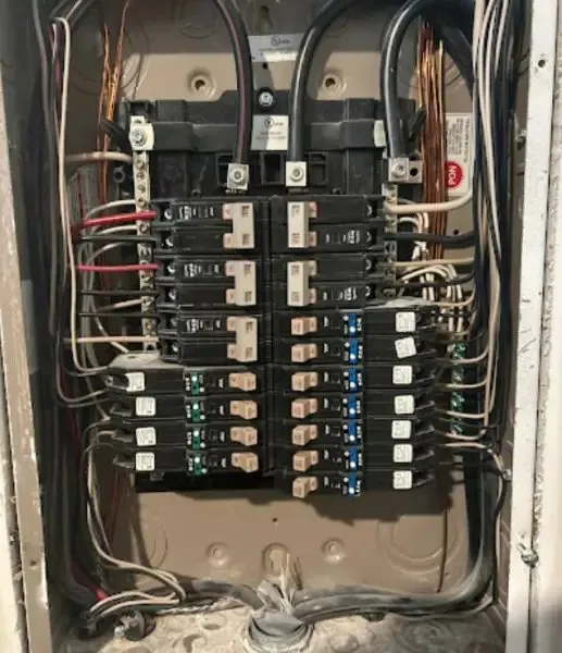 Blue Tiger Electric photo 11