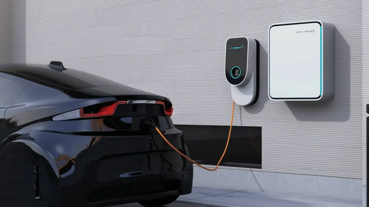 Blue Tiger Electric photo 12