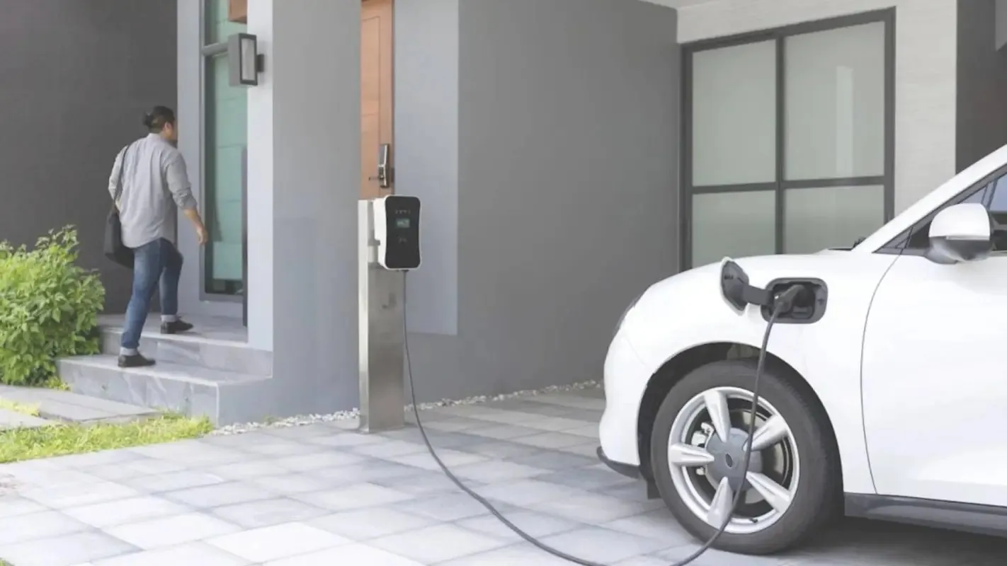 Blue Tiger Electric photo 9