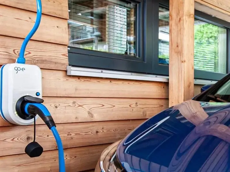 Blue Tiger Electric photo 1