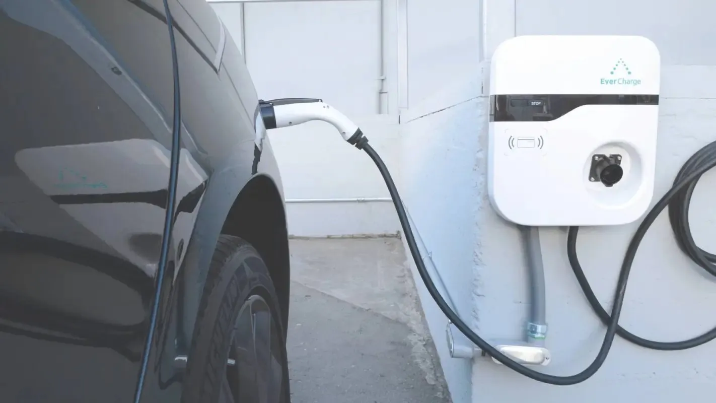 Blue Tiger Electric photo 7