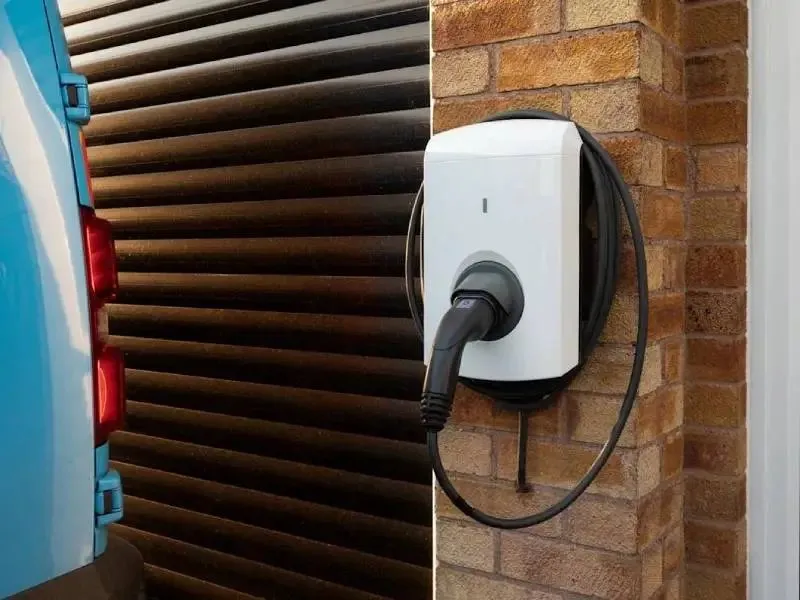 Blue Tiger Electric photo 6