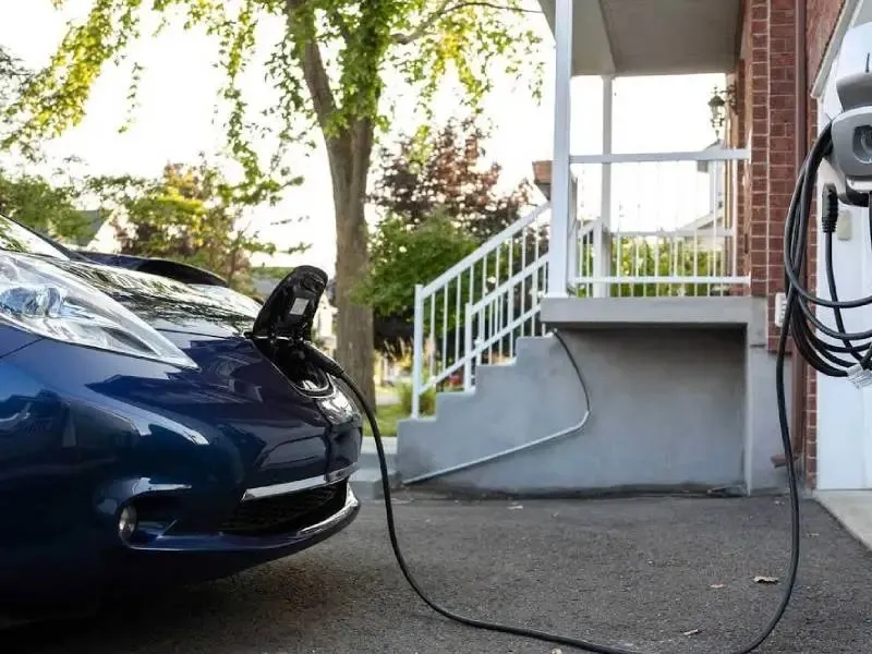 Blue Tiger Electric photo 2