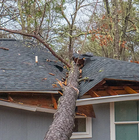 Pappas Roofing and Construction photo 10