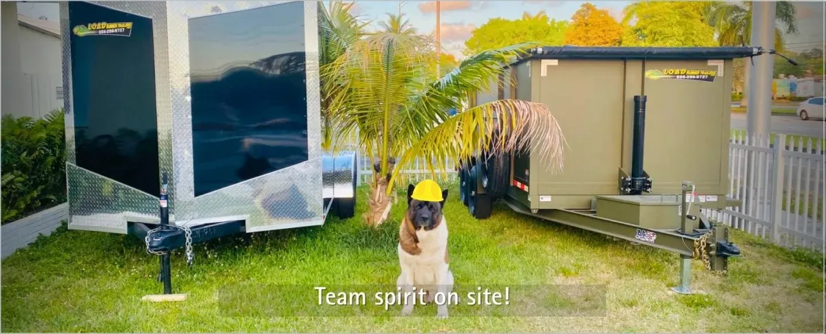 Apaga Handyman Services photo 5