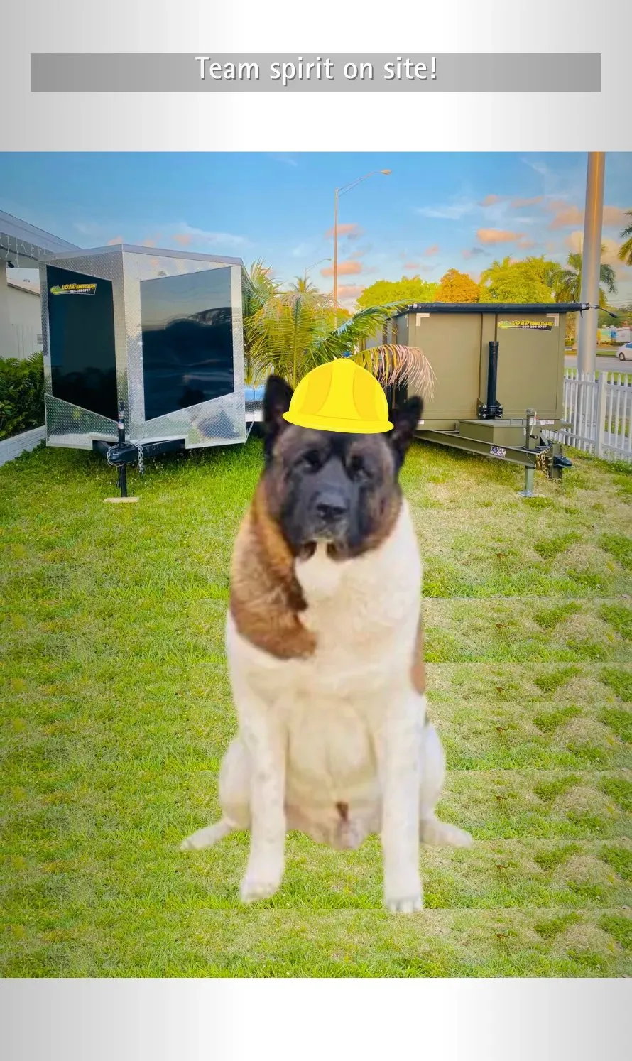 Apaga Handyman Services photo 6