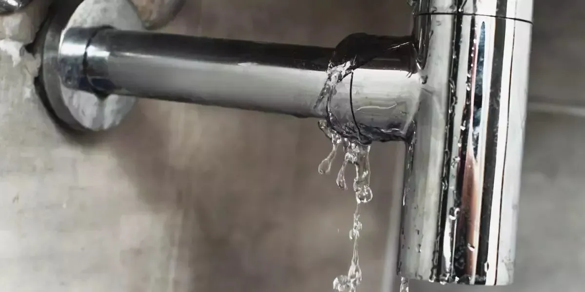 Clog Pro Plumbing & Drain photo 5