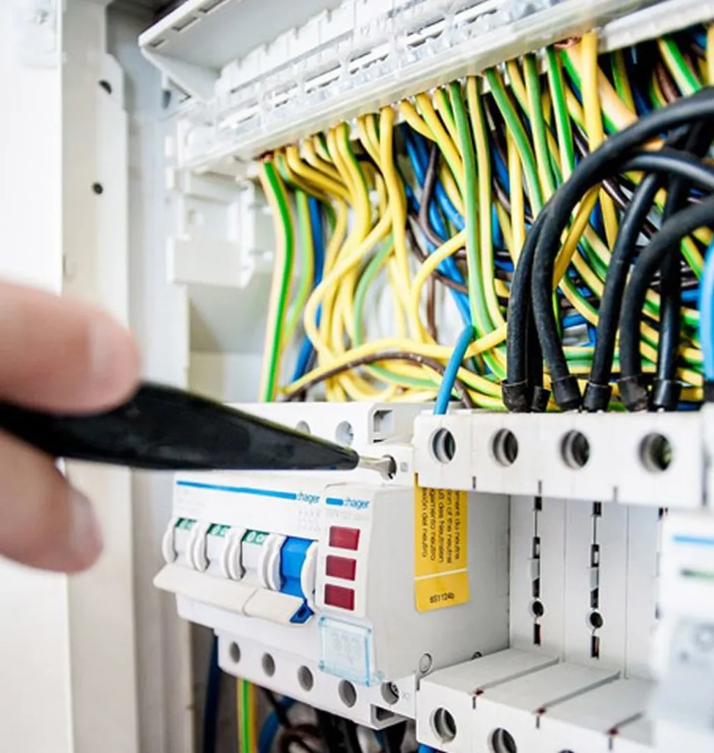 deGraauw Electric photo 2