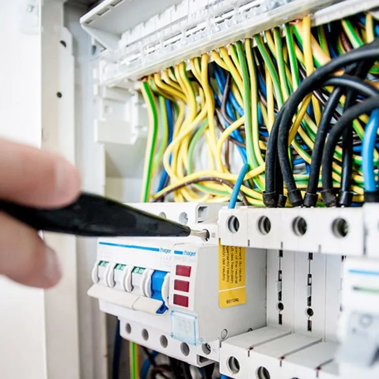 deGraauw Electric photo 6