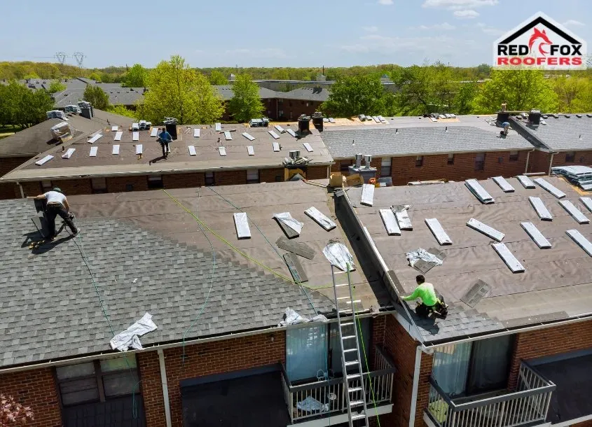 Red Fox Roofers of Tampa photo 11