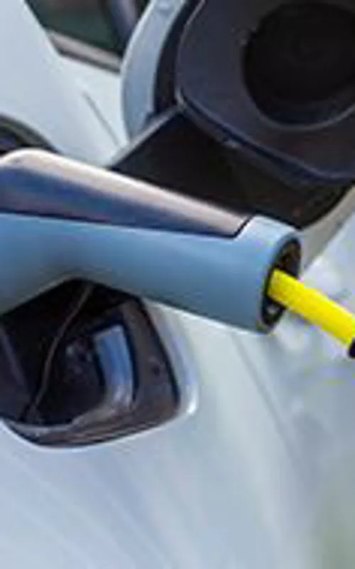 TruTec Electric photo 4