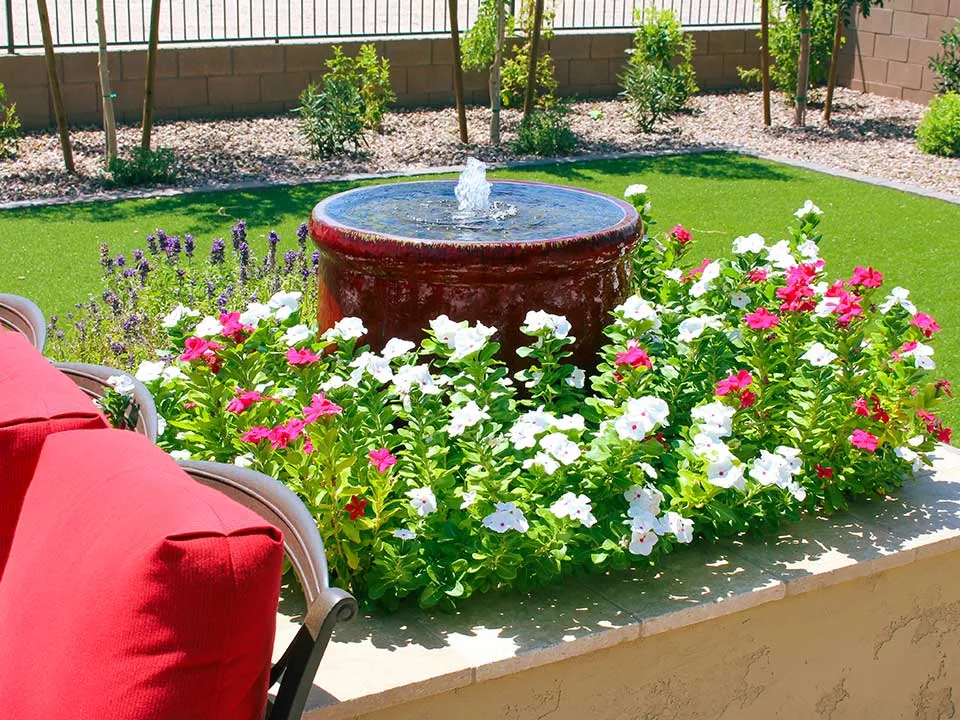 Poco Verde Pools and Landscape, Inc photo 11