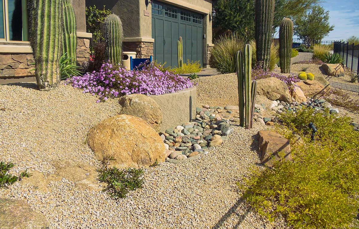 Poco Verde Pools and Landscape, Inc photo 7