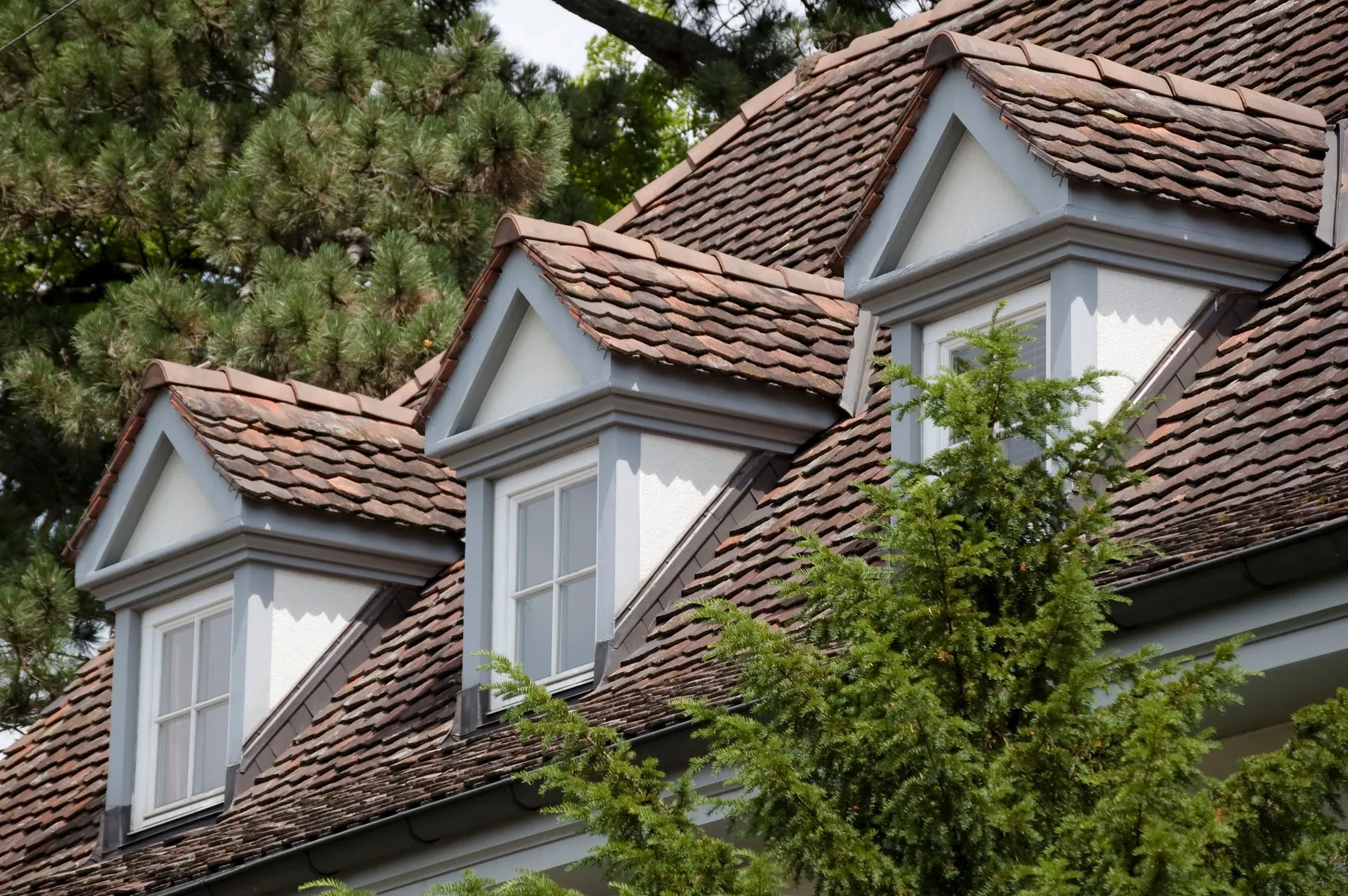 Blue Sky Roofing Solutions photo 4