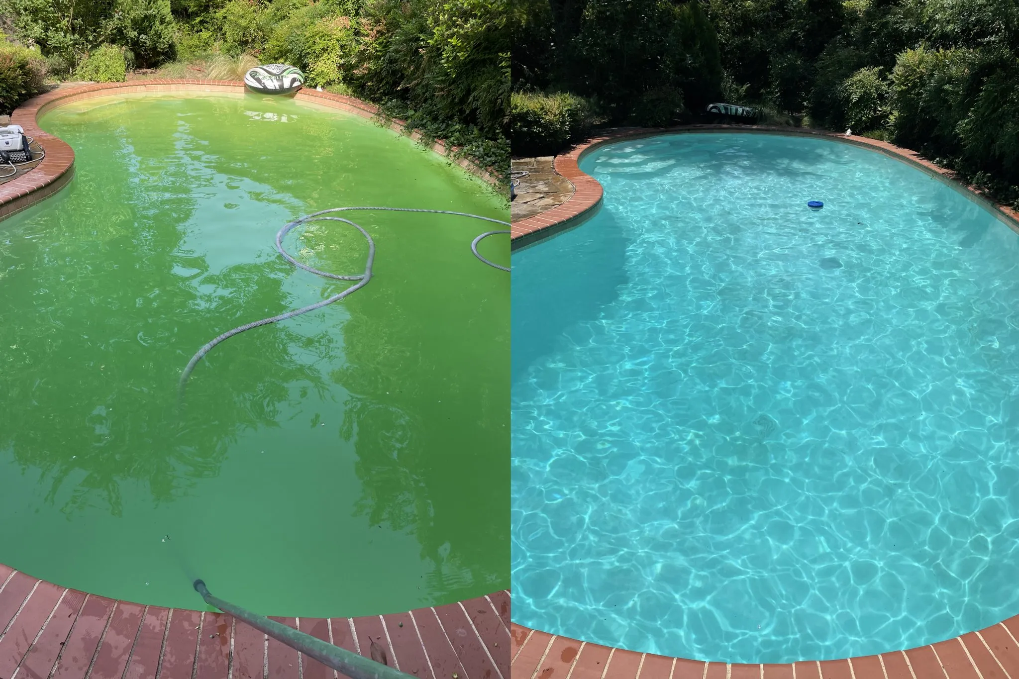 Refresh Pool Company photo 6