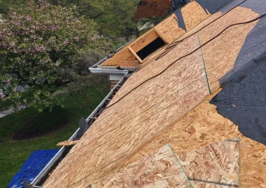 EMJ Contractors Inc photo 7