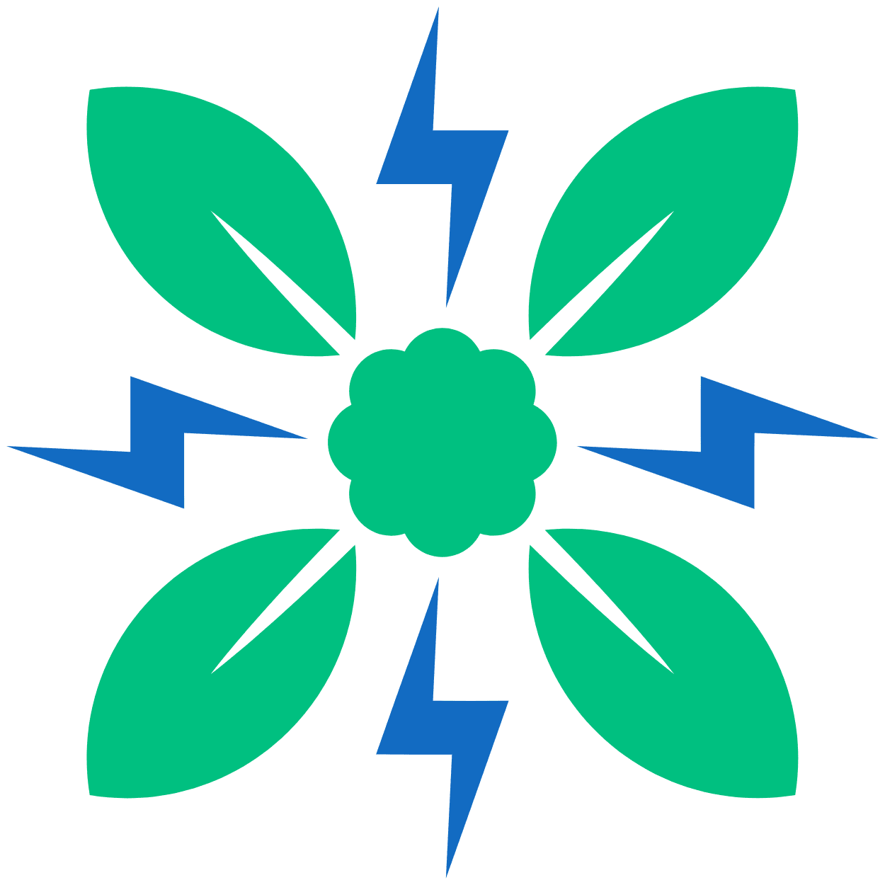 Franklin and Muhammad Enterprise logo