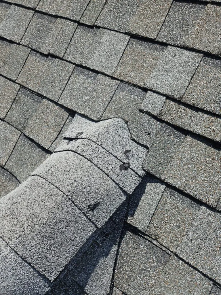 Reyes roofing photo 7