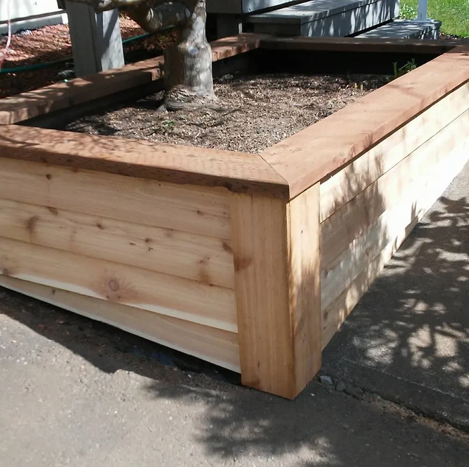 Patrick's Painting photo 5