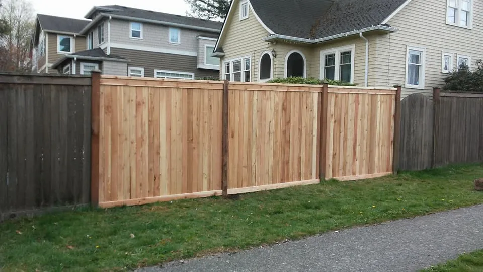 Patrick's Painting photo 3