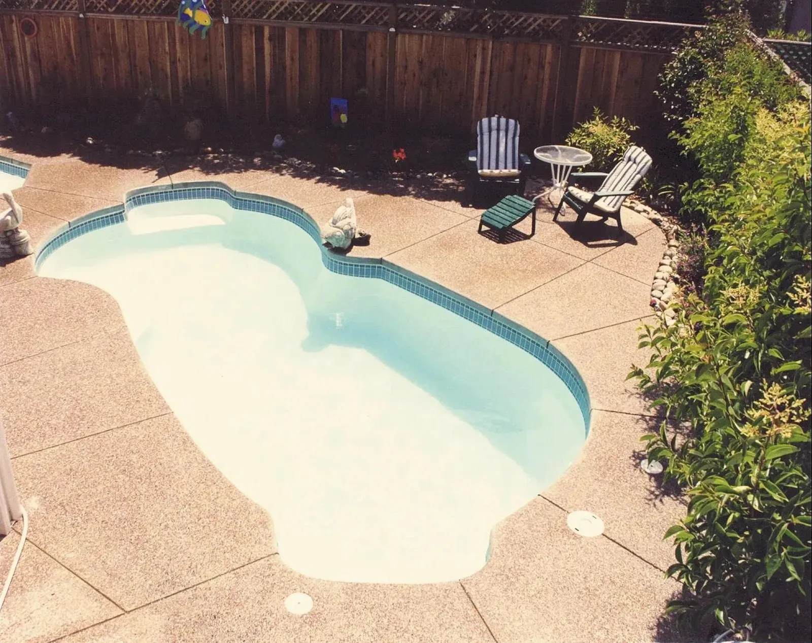 Inground Pools of Paradise photo 10