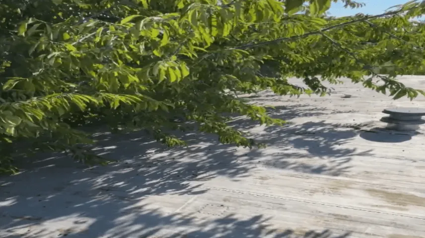 Advance Roofing LLC photo 5