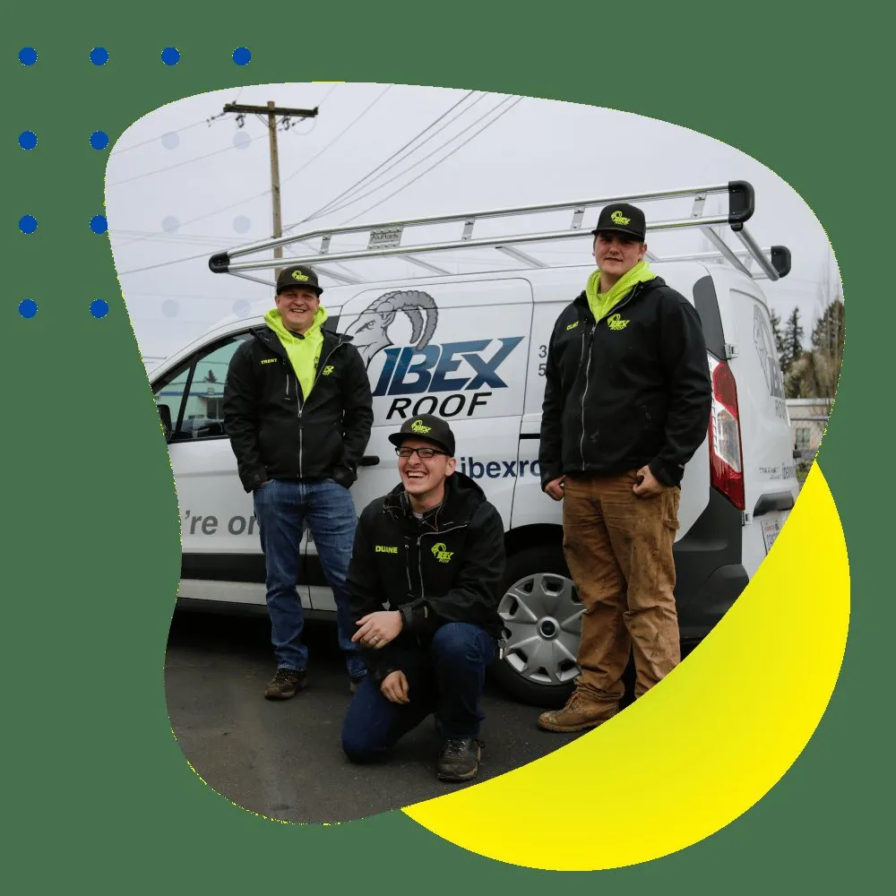 IBEX Roof photo 4
