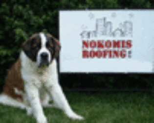 Nokomis Roofing logo