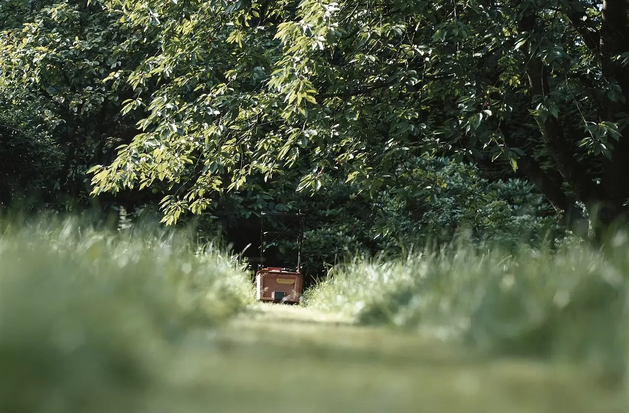 Ray Gilbert & Sons, Inc. photo 1