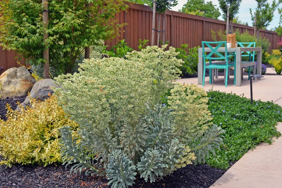 Geremia Pools & Landscaping photo 16