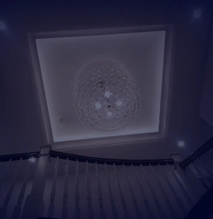 Malfettone Electric photo 5